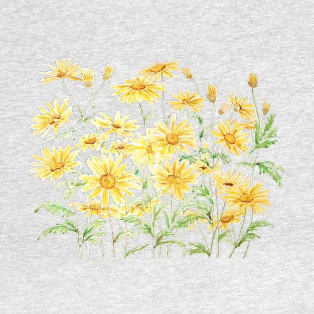 Yellow Margaret Daisies branch watercolor by colorandcolor